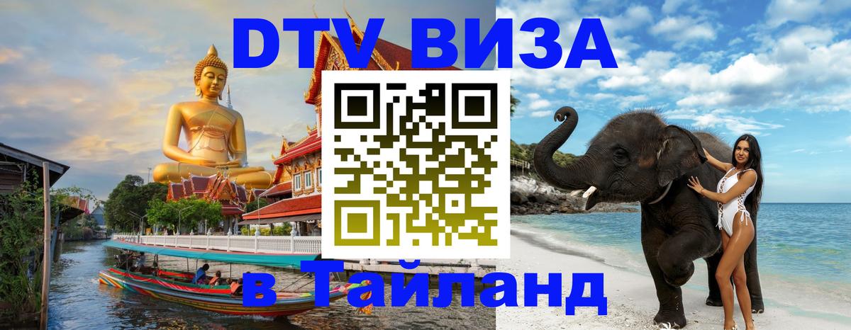 Сколько стоит DTV виза — актуальные цены, оформление даже без документов - Киров 